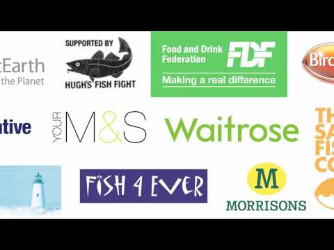 Sustainable Seafood Coalition
