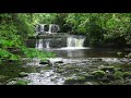 Forest Nature Sounds Relaxing Waterfall-Birds Chirping Sleeping Sound-Water & Birdsong Meditation