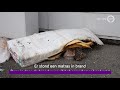 Brand in appartement in Nijmegen; bewoonster per ambulance afgevoerd