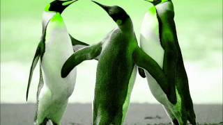 Blue, Black, &amp; Gold