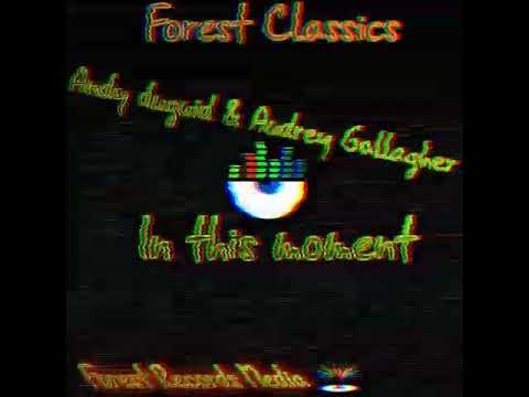 Andy duguid & Audrey Gallaguer - In this moment