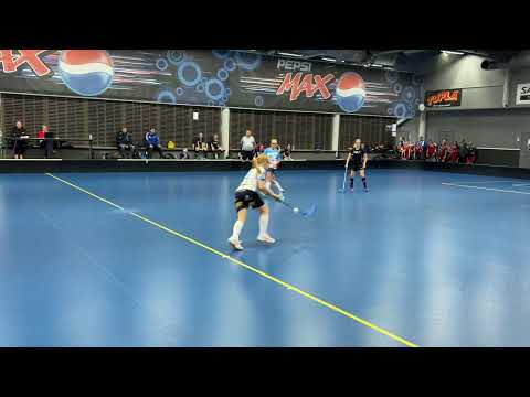 T14 ErVi Sininen - Northern Stars