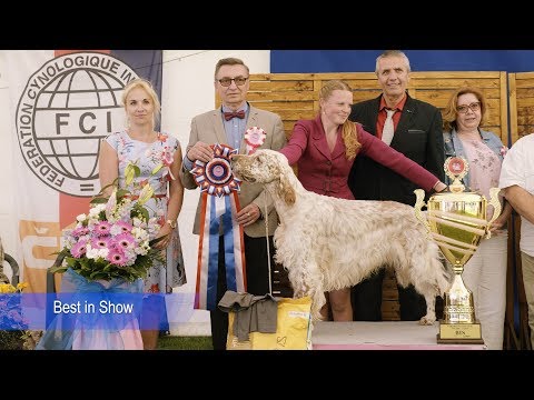 Národní výstava psů Klatovy 2018