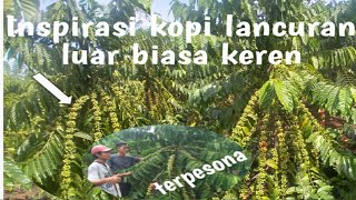Download lagu inspirasi perawatan kebun kopi lancuran mp3