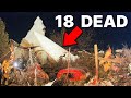 Pilot vs Passenger - Aspen's Deadliest Plane Crash!