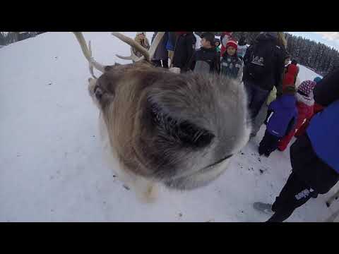 VidÃ©o du sÃ©jour