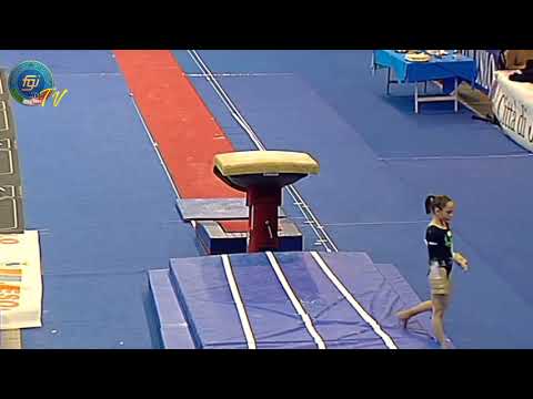 Silvia Zarzu (ROU) 2014 Jesolo TF/AA VT [720p60]