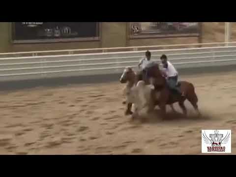 Wesley Safadão- DNA do interior