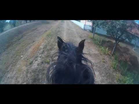 Milica Simic i ja kroz V.Obarsku