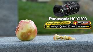 Panasonic HC-X1200  4K-24p | 1/48 | CINE-D | AGC limit 24dB