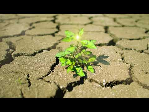 Einsigartig feat. Absztrakkt - Das Selbst