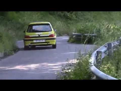 33° Rally degli Abeti e dell'Abetone 2015 (PS7)