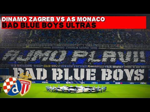 ULTRAS Bad Blue Boys Dinamo Zagreb | Dinamo Zagreb vs AS Monaco 2-2 | 02-10-2024