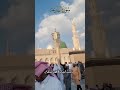 Surah Al Qariah Egzon Ibrahimi Quran Recitation Egzonibrahimi Quran Shorts