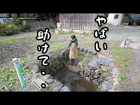 brise-vue-terrasse-plantes-chaises-tout-confort