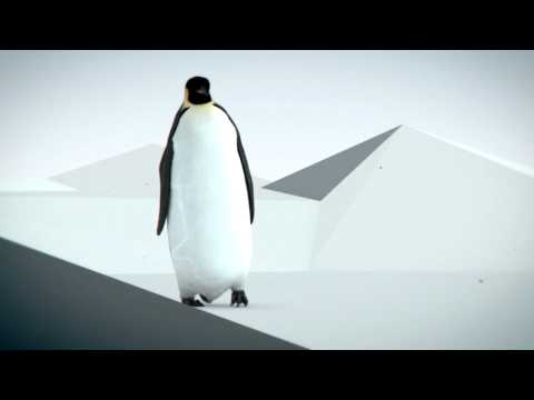 3d animated penguin
