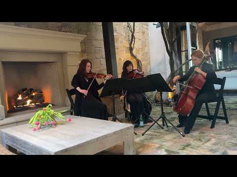 Promotional video thumbnail 4 for Bow & Aero Strings