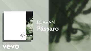 Pássaro Lyrics English Translation