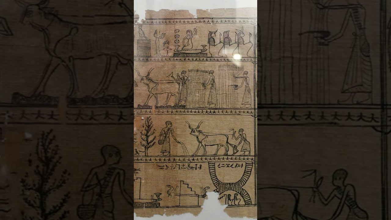 Putar video Hieratic Script - Writing System #shorts sekarang Hieratic Script - Writing System #shorts