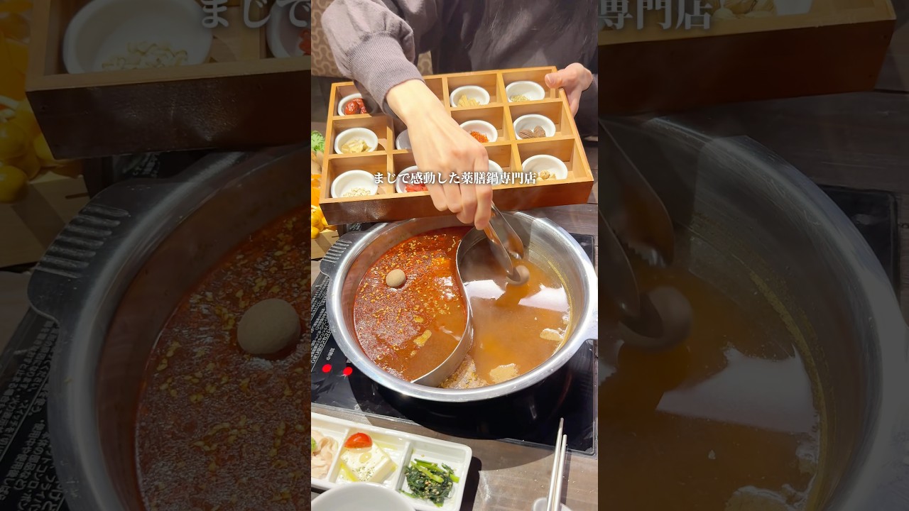 東京でまじで感動した薬膳鍋専門店！