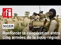 Niger, Mali, Burkina, Tchad et Togo mènent des exercices militaires conjoints • RFI