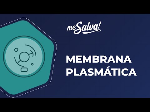 Biologia – Membrana Plasmática - Citologia - Me Salva! Saúde