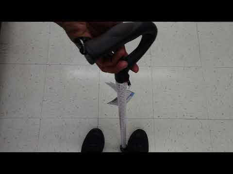 Walgreen Canes