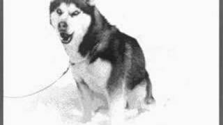 Eight Below-Hymn to the Sea