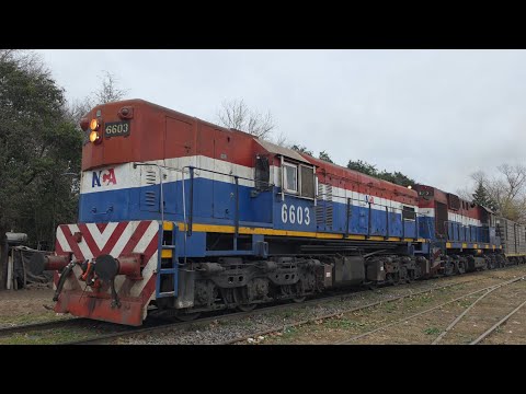 [4K] Tren cargado de NCA con destino a Rosario pasando por Marcos Juárez!!!!!!