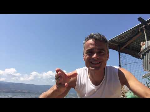 Italienisch leicht lernen - Italienisch sprechen lernen - Italienisch Sätze bilden üben