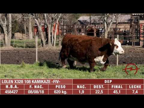 LOLEN X328 108 KAMIKAZE  FIV - Remate de Estancia LOLEN - 28-08-20