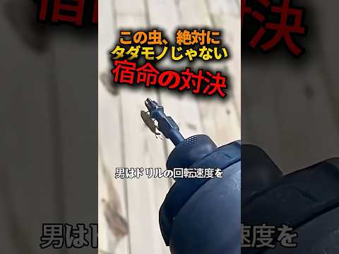 回転数MAX、その時虫は…