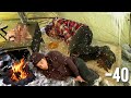 Extreme Winter Camping In Alaska 41C 6 Nights Of Extremely Cold Winter Camping In A Hot Tent