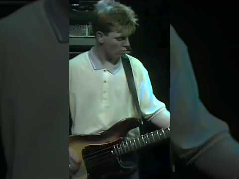 How to get Andy Rourke's bass tone in 30 seconds #bass #thesmiths #morrissey