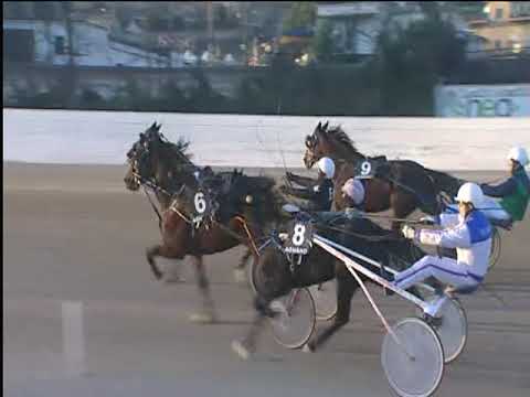 Trotto 28/12/2018 - 3ª corsa