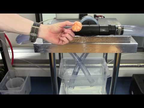 Gulper Toilet Pump Handles It