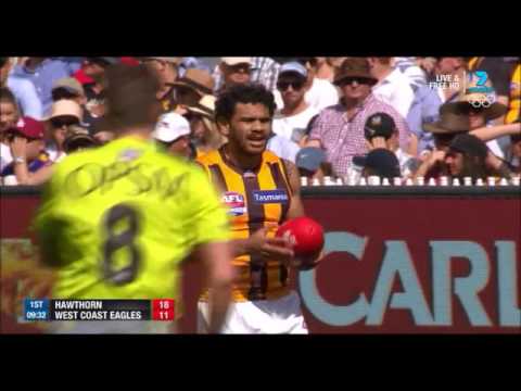 AFL Grand Final 2015 Extended Highlights