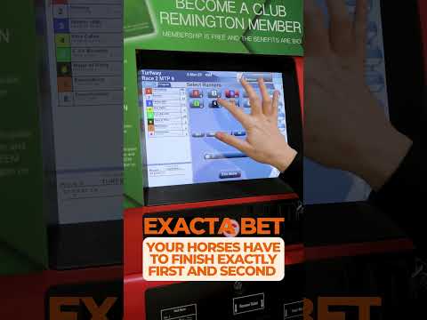 Horse Racing for Beginners: Exacta Bets