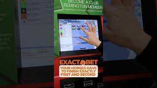 Horse Racing for Beginners: Exacta Bets