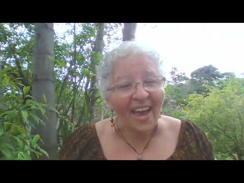 Curso Bíblico  Aula 04  Fé 480p