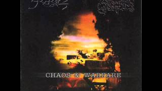 Slechtvalk - Kongsblod - Antestor Cover