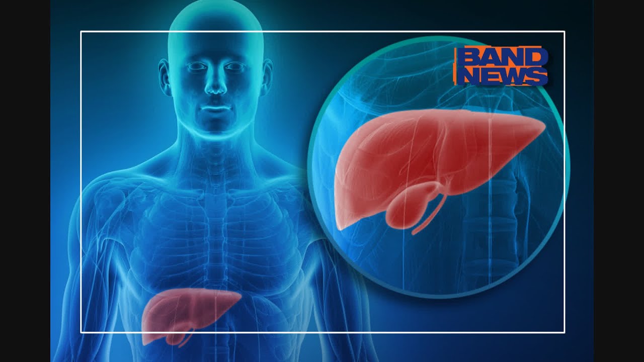 Entenda as funções do fígado no corpo humano