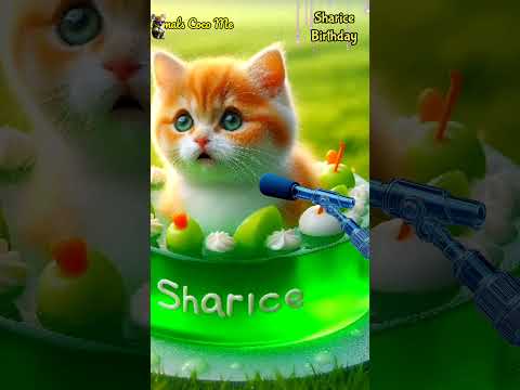 HAPPY BIRTHDAY SHARICE | HAPPY BIRTHDAY SONG WITH NAMES | Adorable Cute Cat 😺 #cat #cute