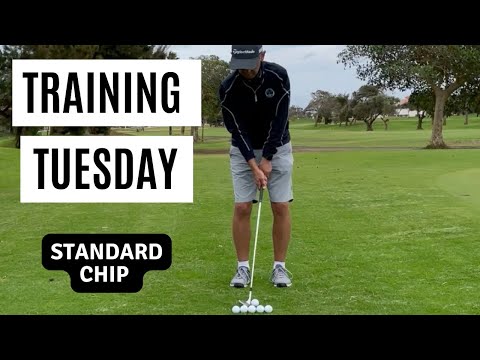 Der Chip - TRAINING TUESDAY - Standard Chip