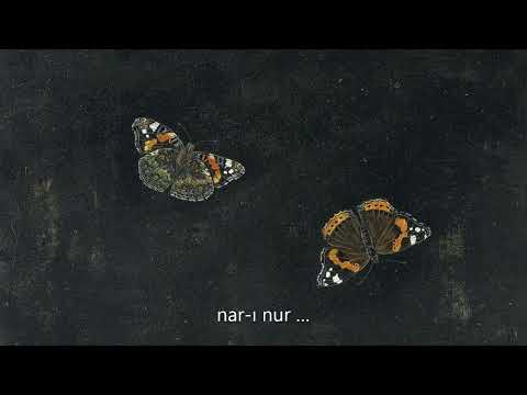 Mehdi Aminian ♪♫ Lullaby For The Travelling Child ...