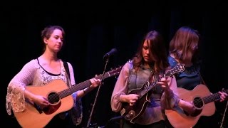 I've Got A Tiger By The Tail - Della Mae Live at the Freight & Salvage
