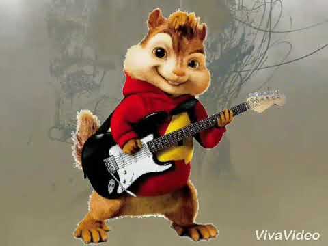 Qbik- 4 pory roku Alvin