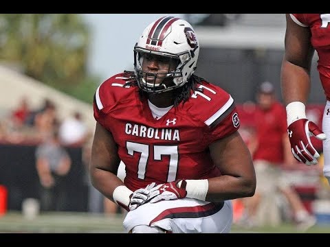 South Carolina Gamecocks Offensive Line Battles / Malik Young, Dennis Daley, Zack Bailey
