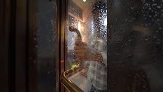 #newdesign#aluminium#glass#openable#door#glasspartition#rosegold#clearglass#interiordesign#profile#f