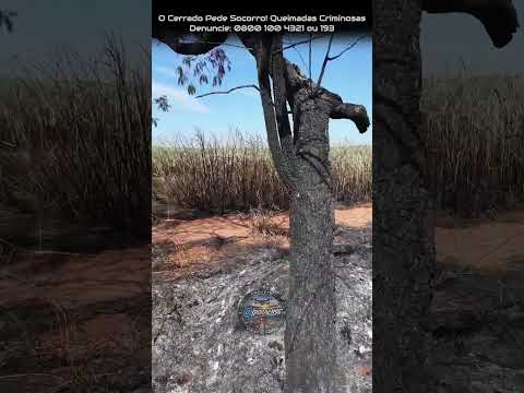 GO-206 TRECHO ENTRE CAÇU E ITARUMÃ GOIAS, PROJETO VISÃO AÉREA - CONSCIENTIZAÇÃO AMBIENTAL!